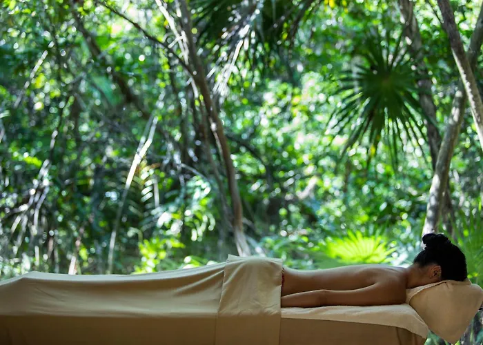 Resort Palmaia The House Of Aia Wellness