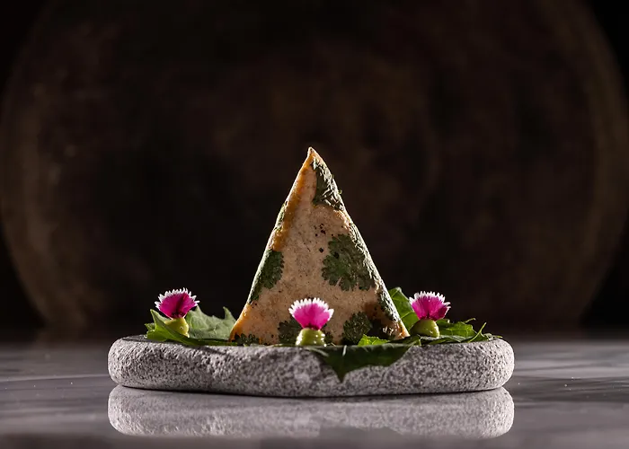 Palmaia The House Of Aia Wellness Los Dos Compadres